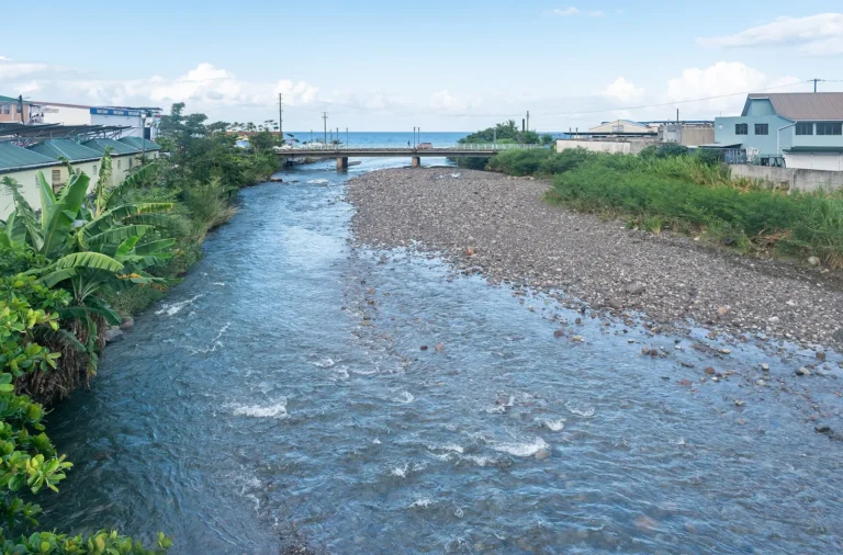 The Roseau River flowing through the green hills of Dominica