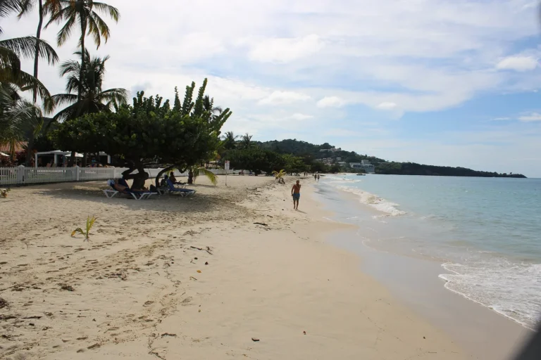 Grenada citizenship programme review and costs in 2026