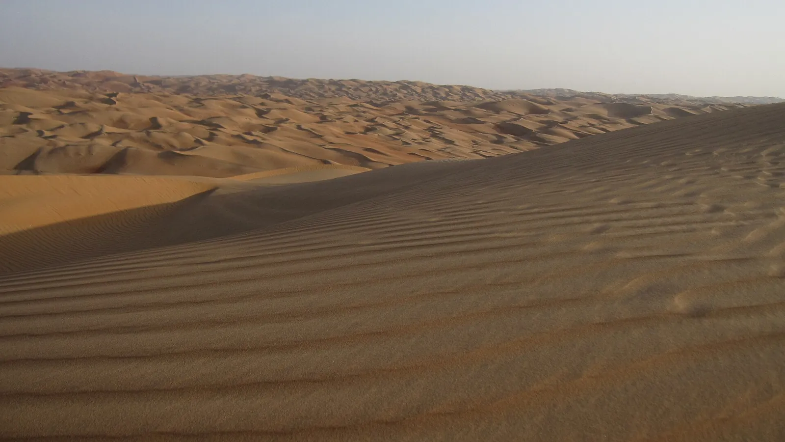 Rippled sand dunes stretching to the horizon at Liwa in the UAE