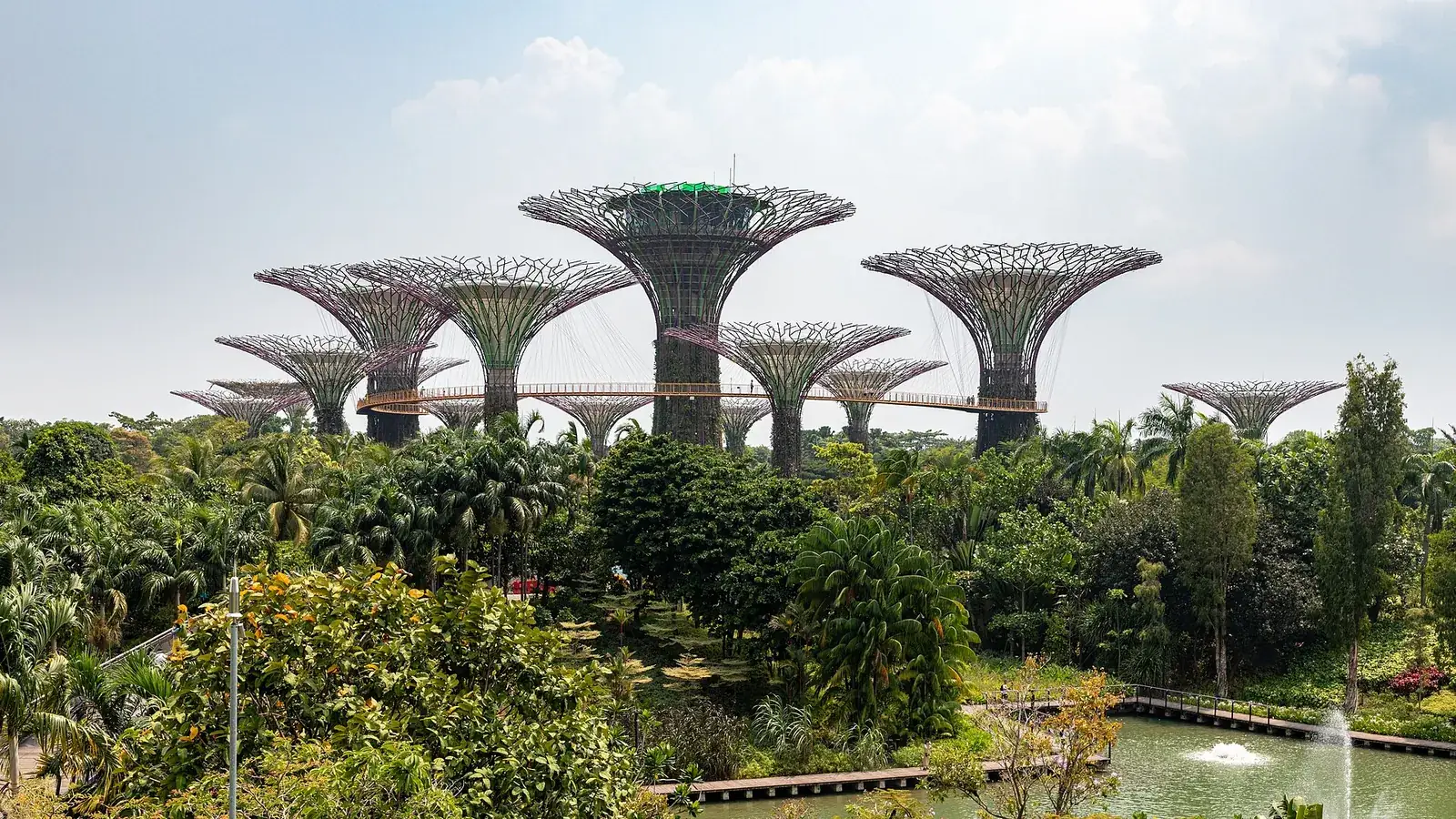 Supertree Grove at Gardens by the Bay in Singapore